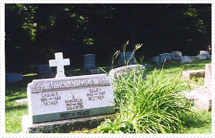 Bagdes Antanavicius tombstone